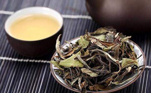品鑒貢眉茶 不只飲品，更是雅致生活的藝術品